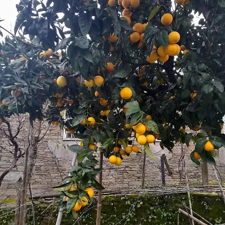 Brunhedo1 Сasa de vacaciones Fontelas