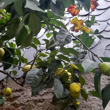 Сasa de vacaciones Brunhedo1 *