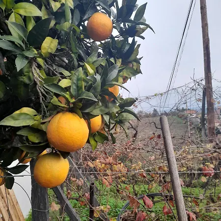 Brunhedo1 Dom wakacyjny