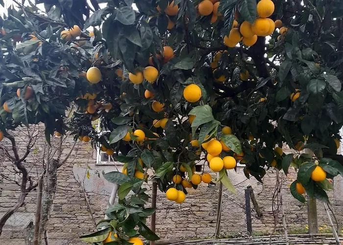 Brunhedo1 בית נופש Fontelas