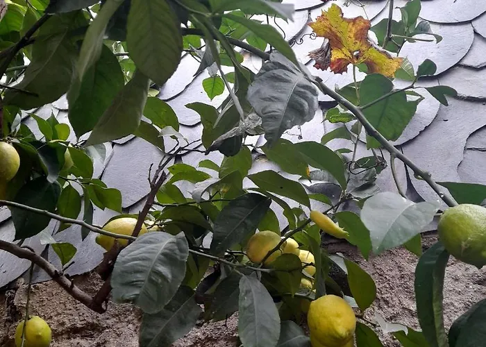 בית נופש Brunhedo1 *