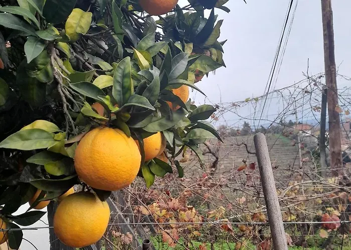 Brunhedo1 בית נופש